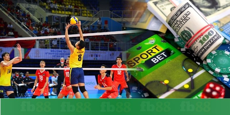 Bí kíp cá cược bóng chuyền dễ thắng