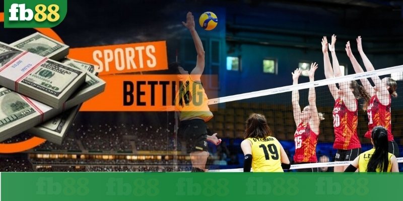 Cá cược bóng chuyền là gì?