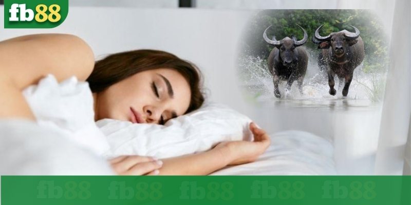 Giải mã giấc mơ thấy trâu