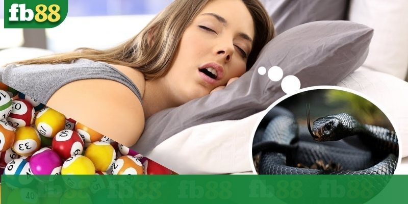 Mơ thấy rắn mang đến điềm tốt hay xấu