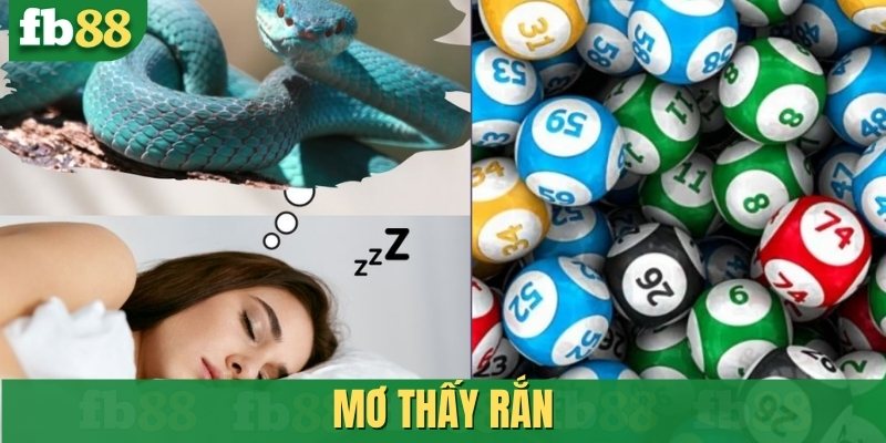 Mơ thấy rắn