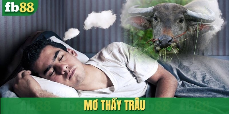 Mơ thấy trâu